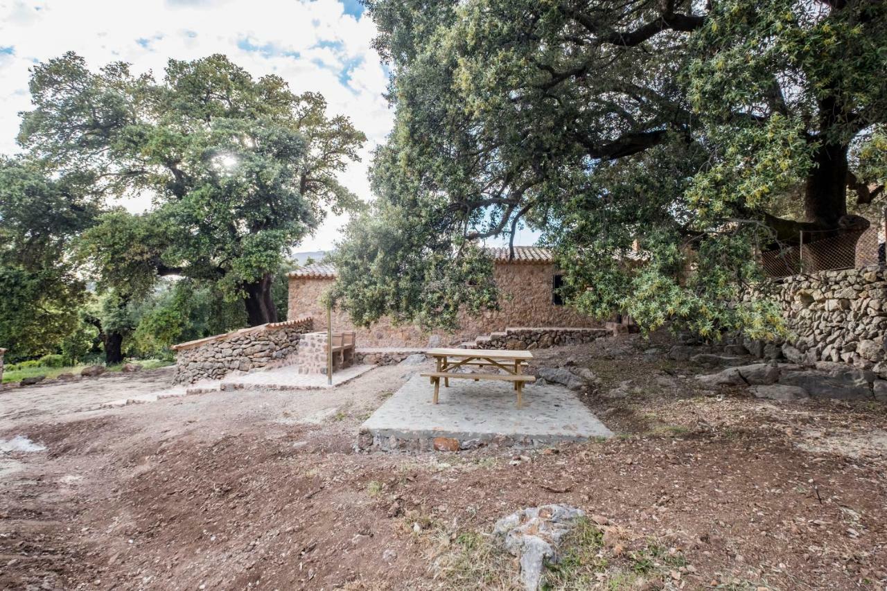Agroturismo Son Alzines Santuari de Santa Maria de Santuari de Santa Maria de Lluc Exterior foto