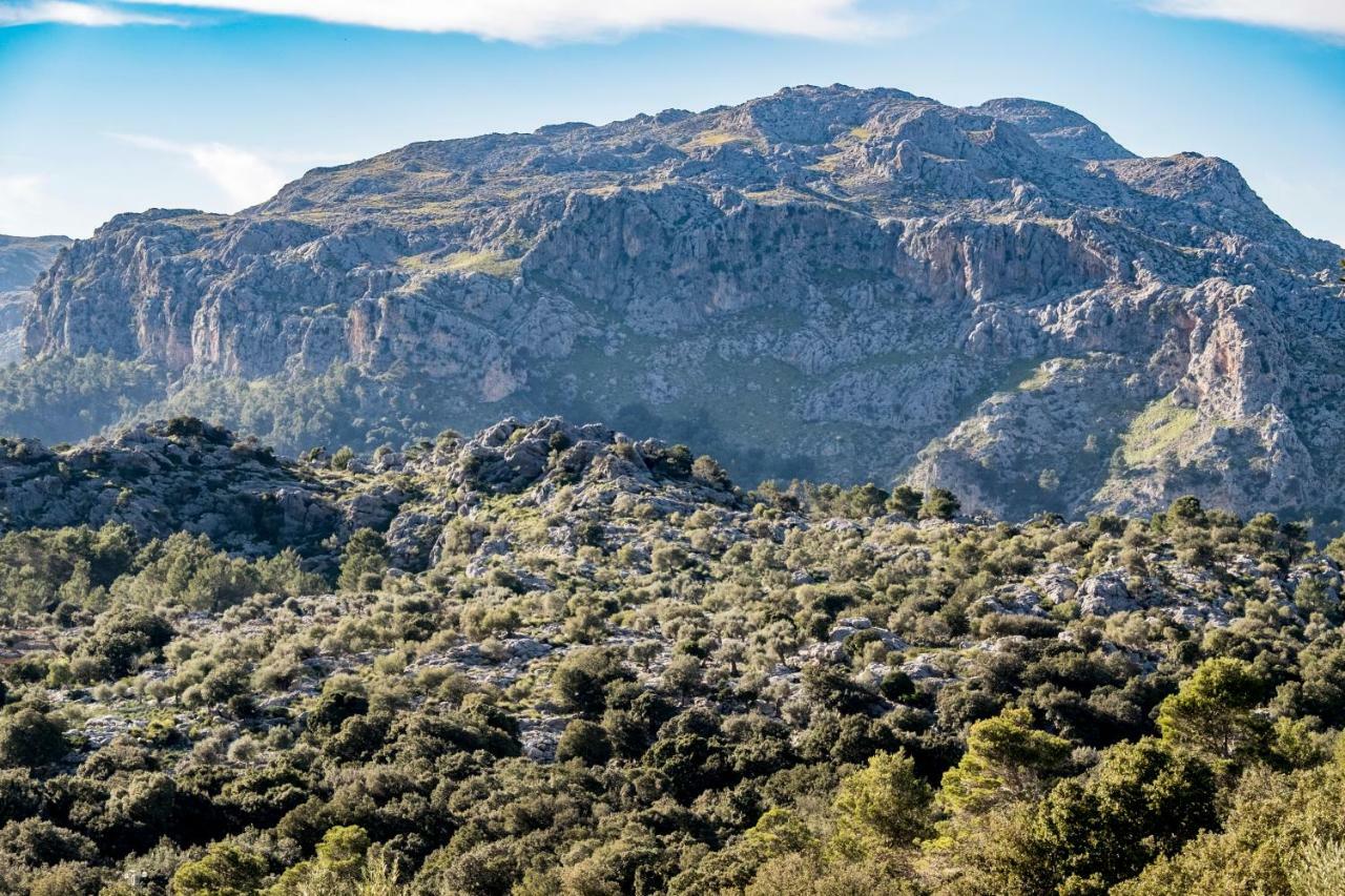 Agroturismo Son Alzines Santuari de Santa Maria de Santuari de Santa Maria de Lluc Exterior foto