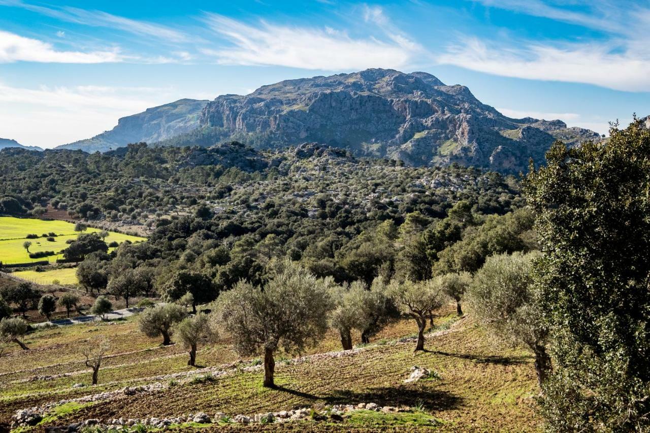 Agroturismo Son Alzines Santuari de Santa Maria de Santuari de Santa Maria de Lluc Exterior foto