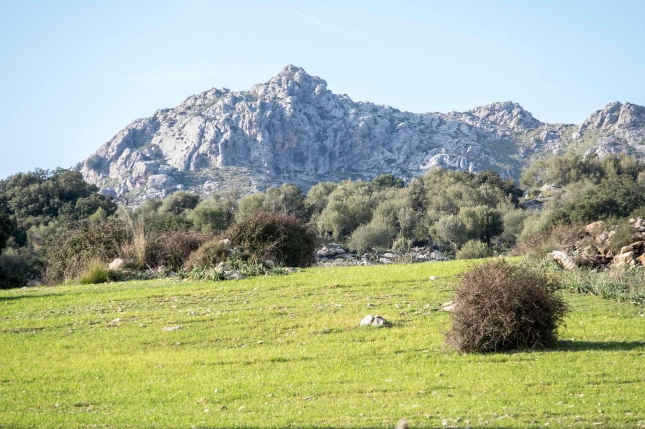 Agroturismo Son Alzines Santuari de Santa Maria de Santuari de Santa Maria de Lluc Exterior foto